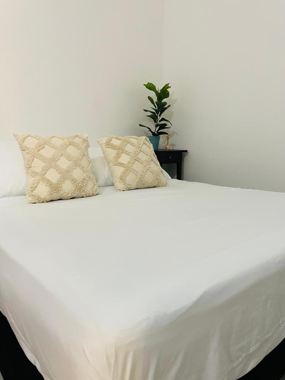 Hostal 1545 Ríohacha Pokoj fotografie